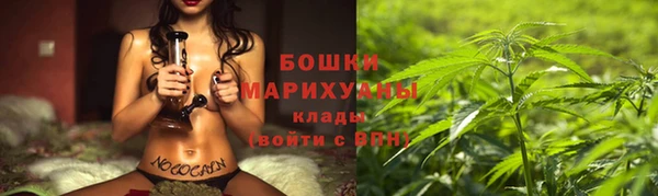 не бодяженный Ельня