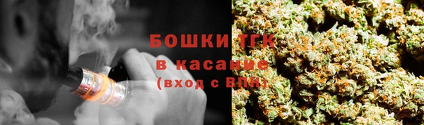 не бодяженный Ельня