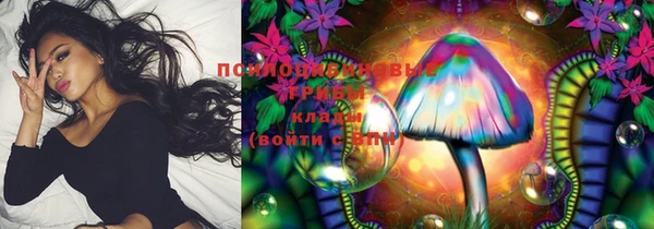 не бодяженный Ельня