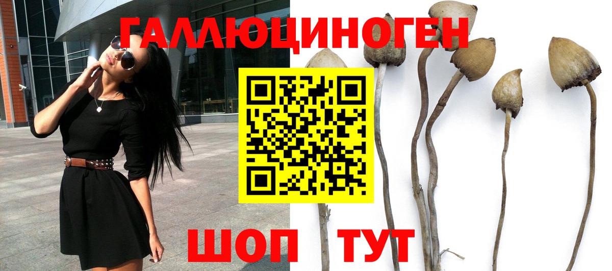 Галлюциногенные грибы прущие грибы  Вход с VPN  Ирбит  Галлюциногенные грибы GOLDEN TEACHER 