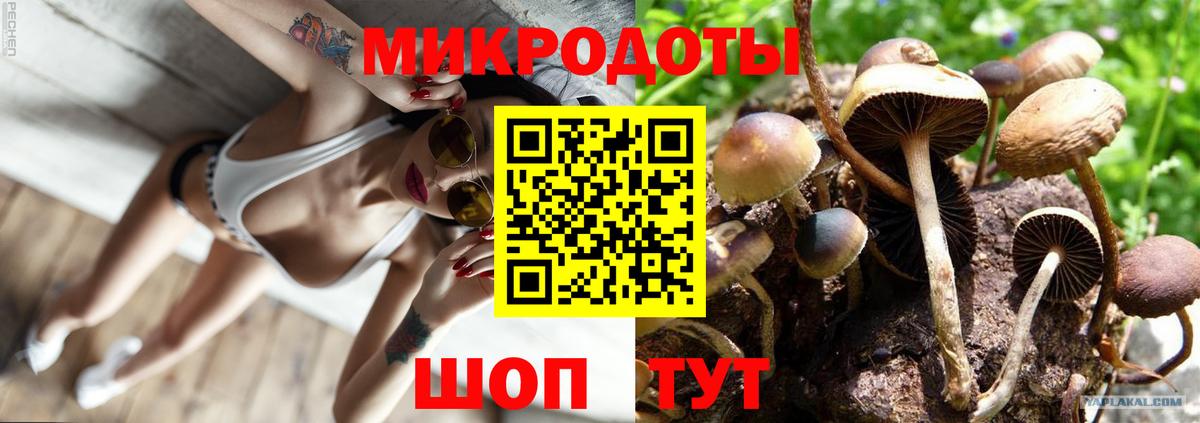 Галлюциногенные грибы GOLDEN TEACHER Ирбит