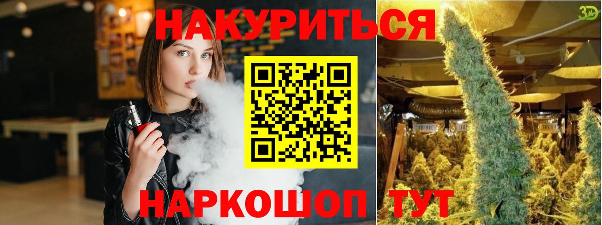 Бошки Шишки ГИДРОПОН  Вход с VPN  Бошки Шишки Bruce Banner  Ирбит  Каннабис White Widow 